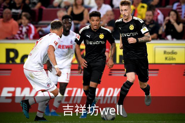 吉祥坊well公司简介图片